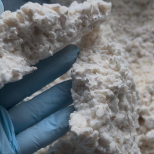 koji - základ všeho